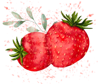 Morango
