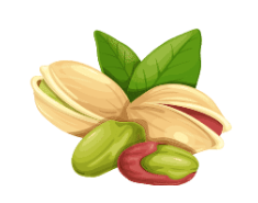Pistache
